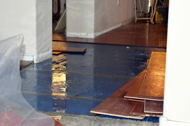 Professional Basement Water Removal technician working in Lake, WV